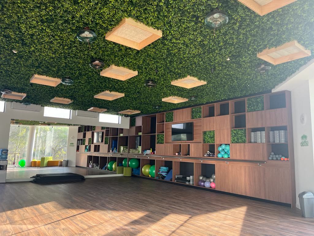 Inside Elevist Wellness Center, Naxxar