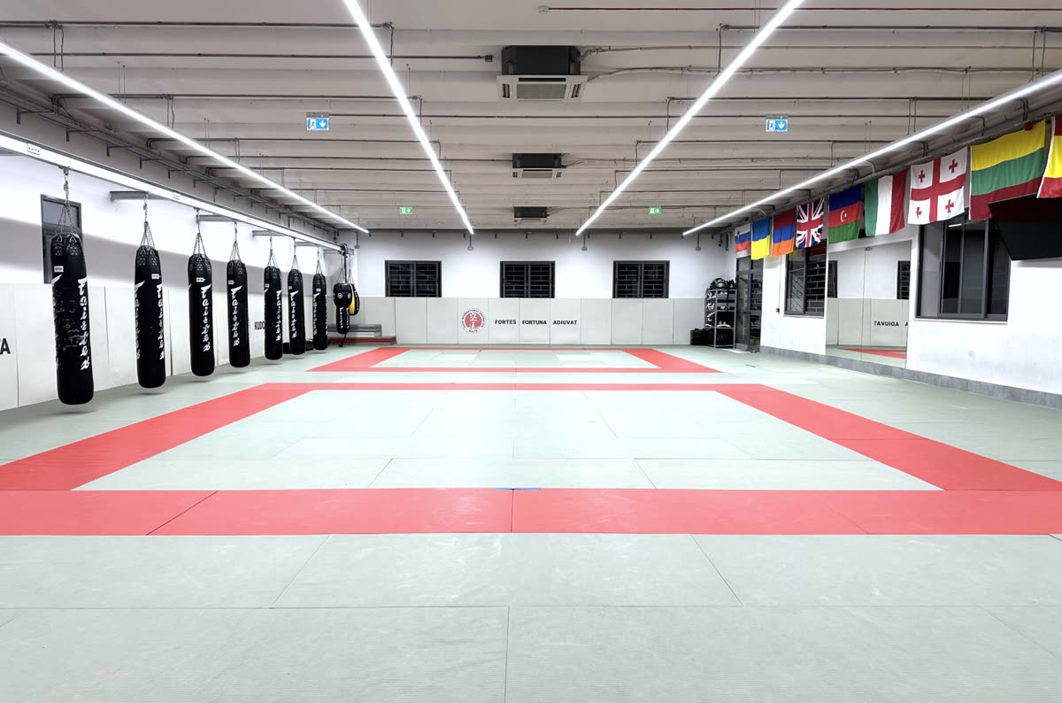 Inside Kudo Malta Gym